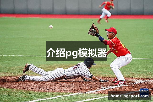 介绍pg模拟器